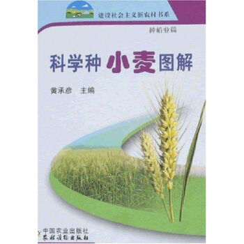 春夏推理事件簿_春夏推理事件簿_春夏推理事件簿