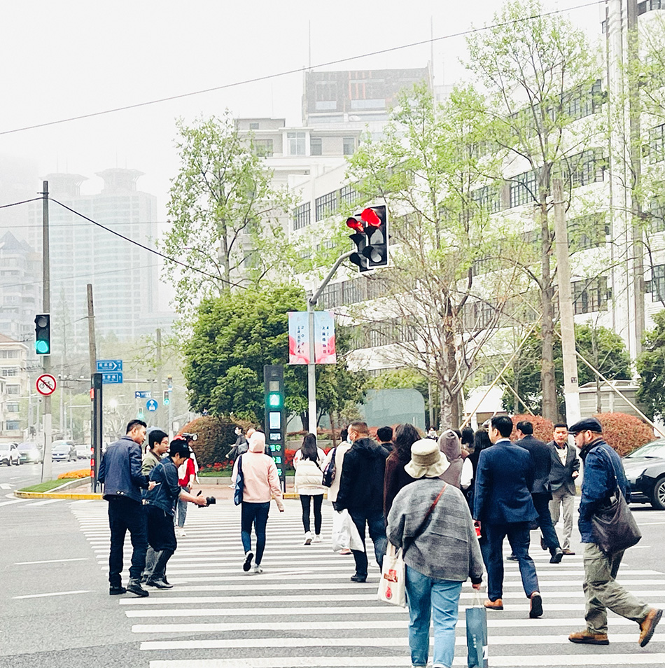 路人女主的养成方法小说_路人女主的养成方法小说全集_路人女主养成方法作者