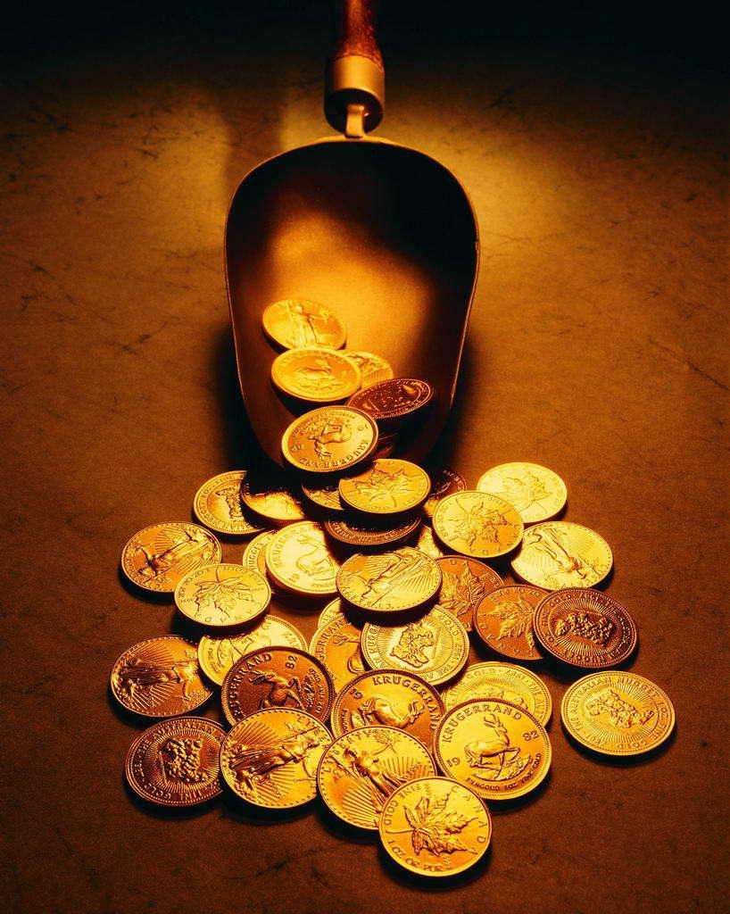 公主的天下淳安_行骗天下jp公主篇_公主临天下小说