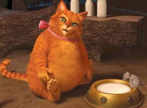 穿靴子的猫2免费观看高清_靴子猫图片_靴子猫动画片第一季