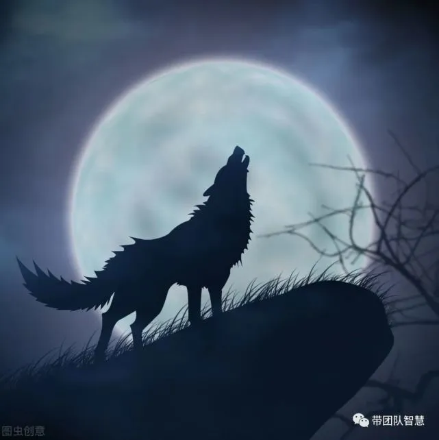 狼身后的狼_狼身后的狼_狼身后的狼