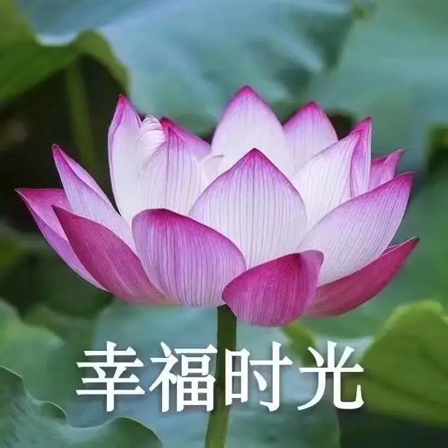 举报群会知道谁举报的吗_举报群聊会被知道举报人是谁吗_举报群聊知道会人删除吗