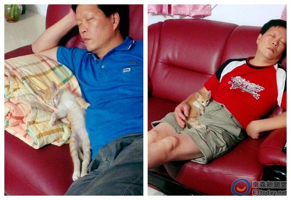 小咪的图片_小咪_小咪的歌
