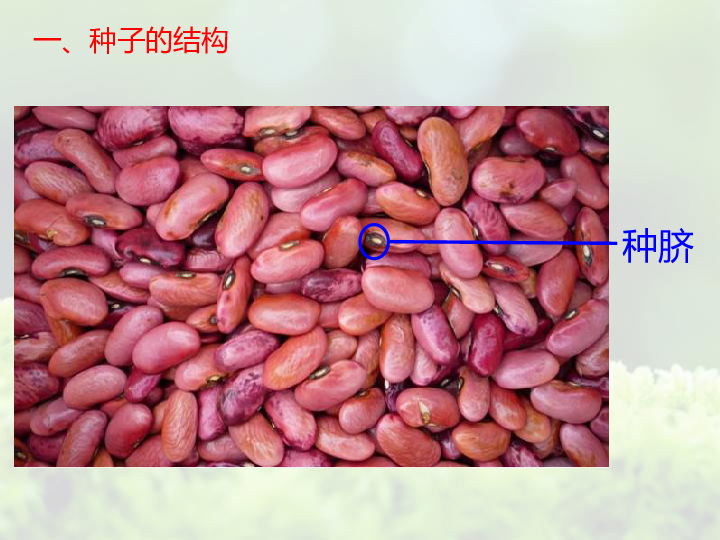 生命的周期性_bean生命周期_生命周期仆人