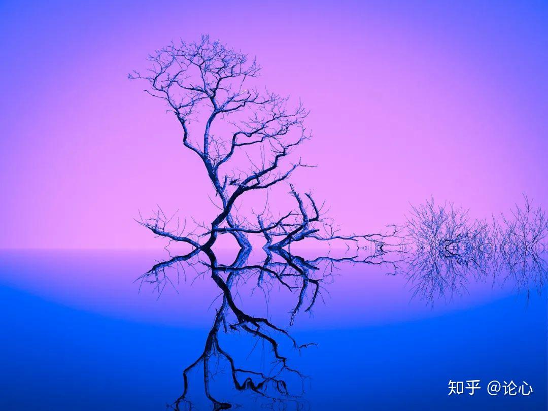 a11s手机参数_烟花拍摄参数手机_拍夕阳如何设置参数手机