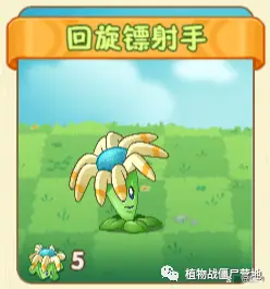 双重射手图片_双重射手和豌豆射手_双重射手