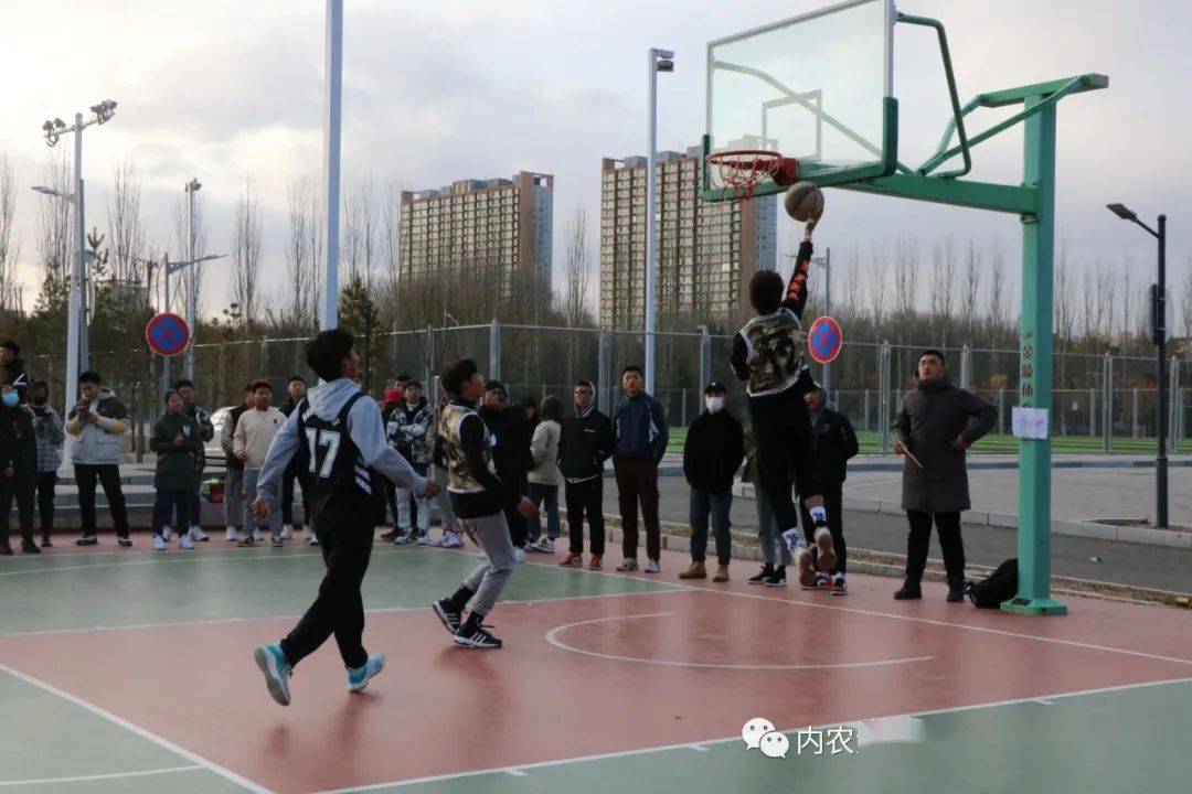 月年2023年_2011年1月4日_2024年是不是润月年