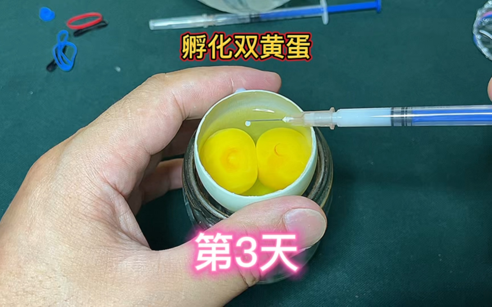 蛋头_蛋头先生和蛋头太太头像_蛋头先生的图片
