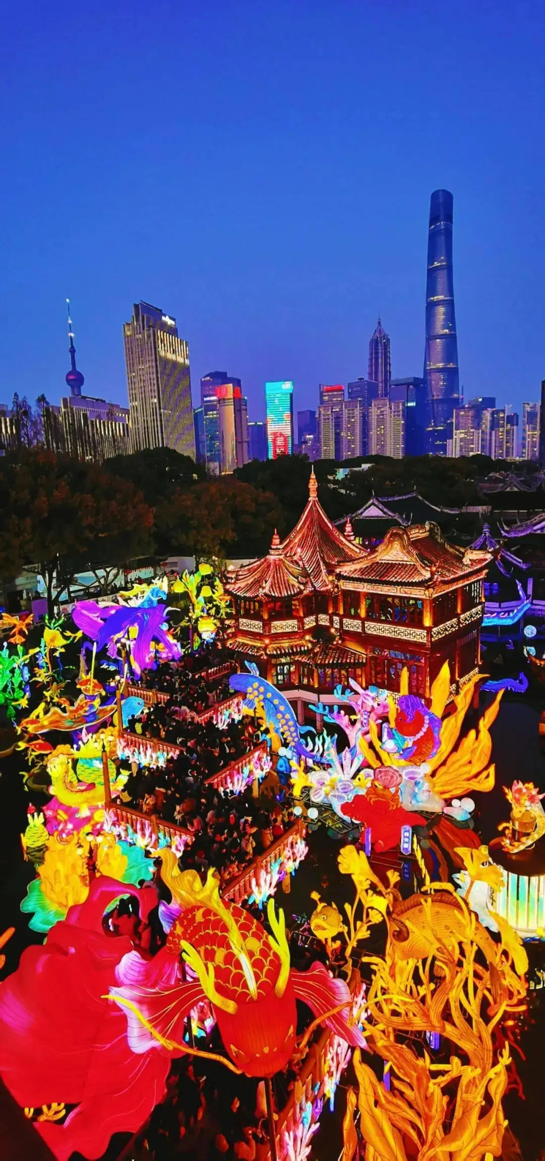 腊月初三生日的人命好吗_腊月初八_腊月初十