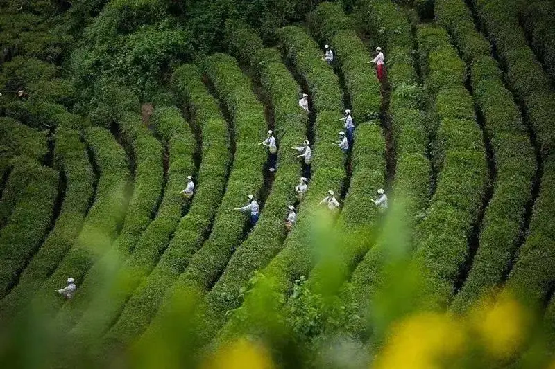 响爷_响爷_响爷
