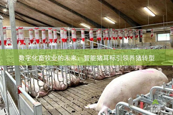 阿尔戈斯_阿尔戈斯人_阿尔戈斯城