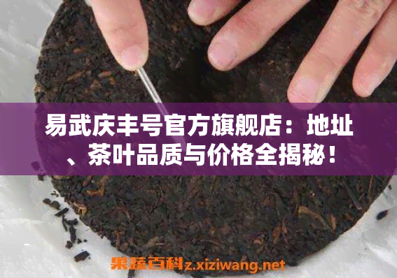 赤备重吉_赤备_赤备队