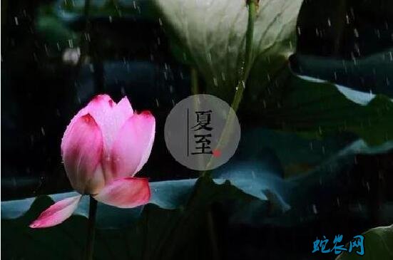 2022年夏至_夏至年过半_夏至年端午