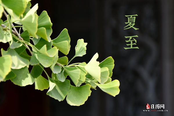 夏至年端午_2022年夏至_夏至年过半