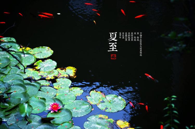 2022年夏至_夏至年端午_夏至年过半