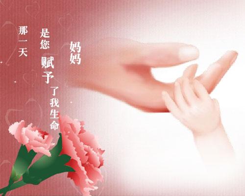 淘宝网网址-淘宝网：解决生活琐事的好帮手，让购物变得愉快和便捷