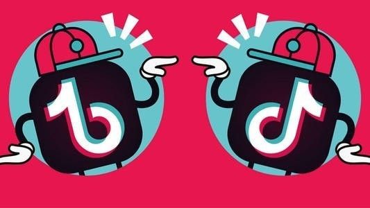 抖音手机号查询用户_抖音查手机用户号通过什么找_怎么通过手机号查抖音用户