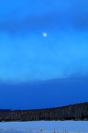 月亮苹果拍手机怎么拍_苹果手机拍月亮_平果手机拍月亮