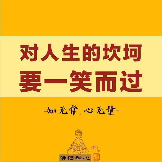 七日情_三级七日情_隔离七日情国语下载