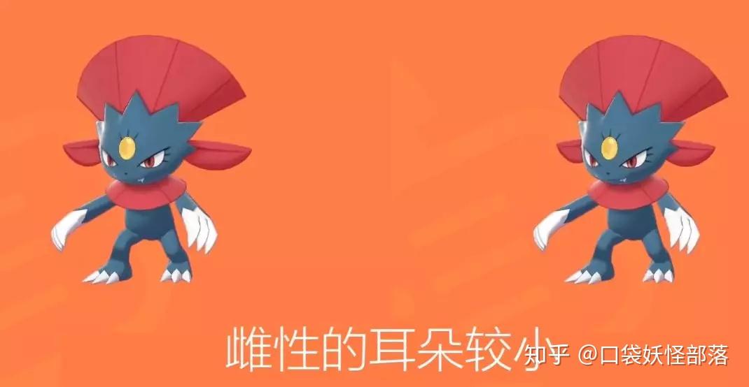 超能妙喵带什么道具_超能妙喵怎么样_超能妙喵