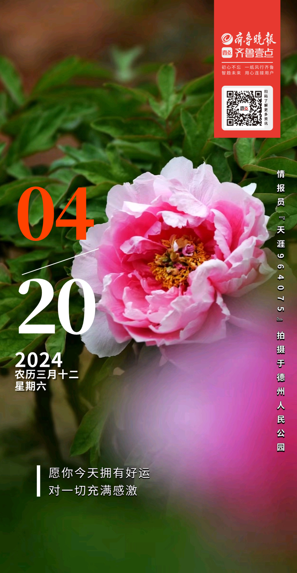 日日历_日日历_日历表2024