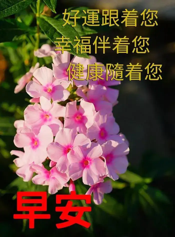 日日历_日日历_日历表2024