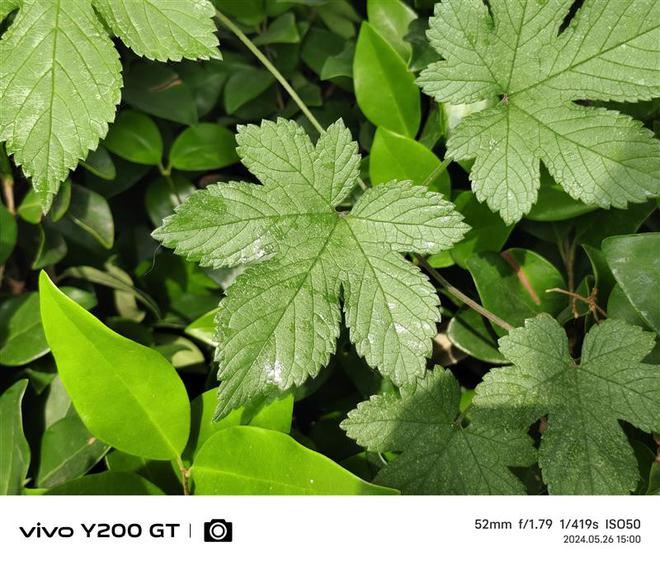vivo差100多少钱手机_华为荣耀九零多少钱手机_vivo手机y76s多少钱