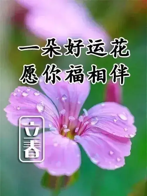夸克奖品兑换_夸克浏览器会员兑换码_夸克福利码兑换2023