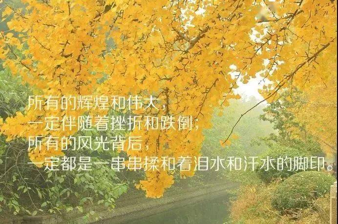 微信朋友圈怎么发原图_微信朋友圈发照片原图怎么发_圈原图微信发朋友圈怎么发