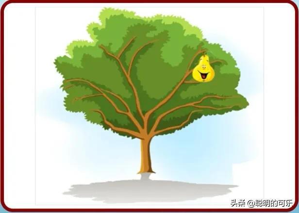 8个蜜蜂成语疯狂看图_看图猜成语一只蜜蜂和日历_蜜蜂的成语疯狂看图