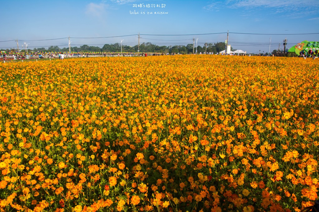 花漾app无法提现怎么办_花漾app_花漾app诈骗处理结果