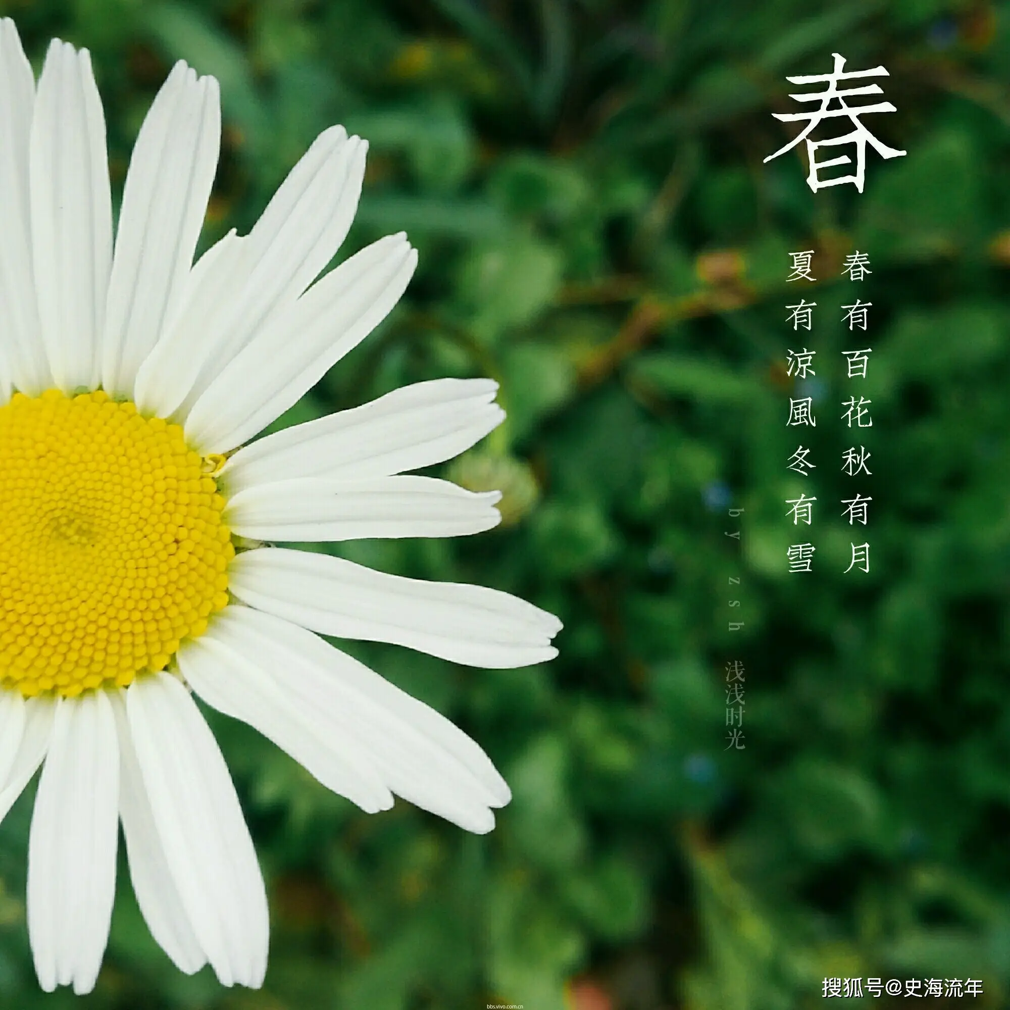 踏青的时候是什么季节_踏青的时候_踏青是什么时候
