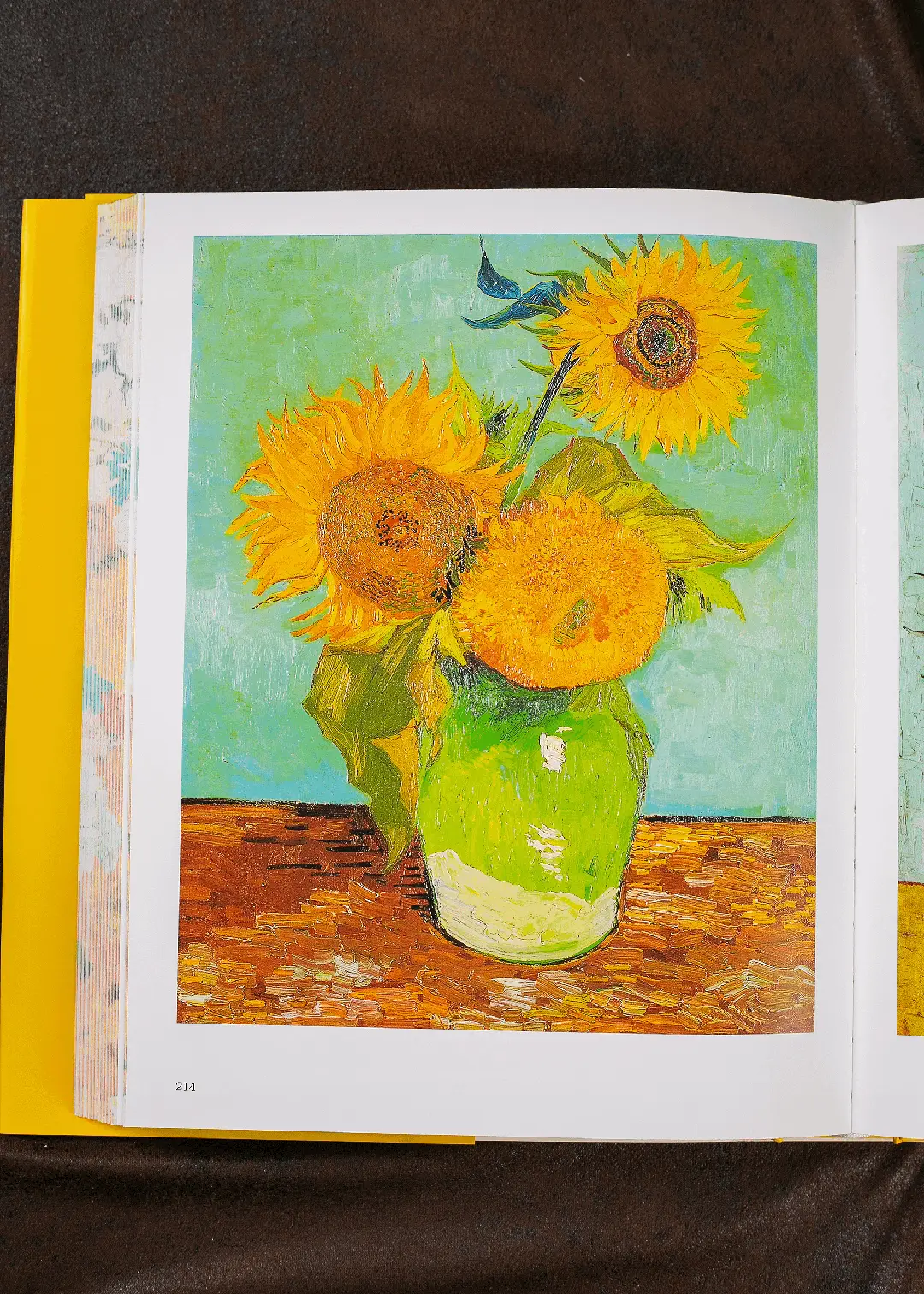 高原步美_高原步美生日_高原步美的声优是谁