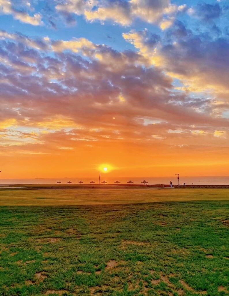 高原步美_高原步美生日_高原步美的声优是谁