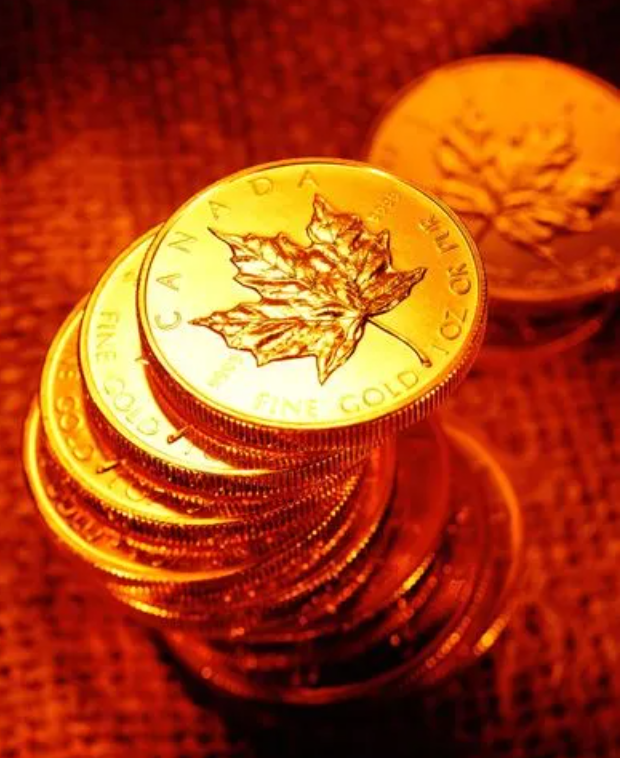 穿越迷雾_迷雾穿越电影在线观看_迷雾穿越下载