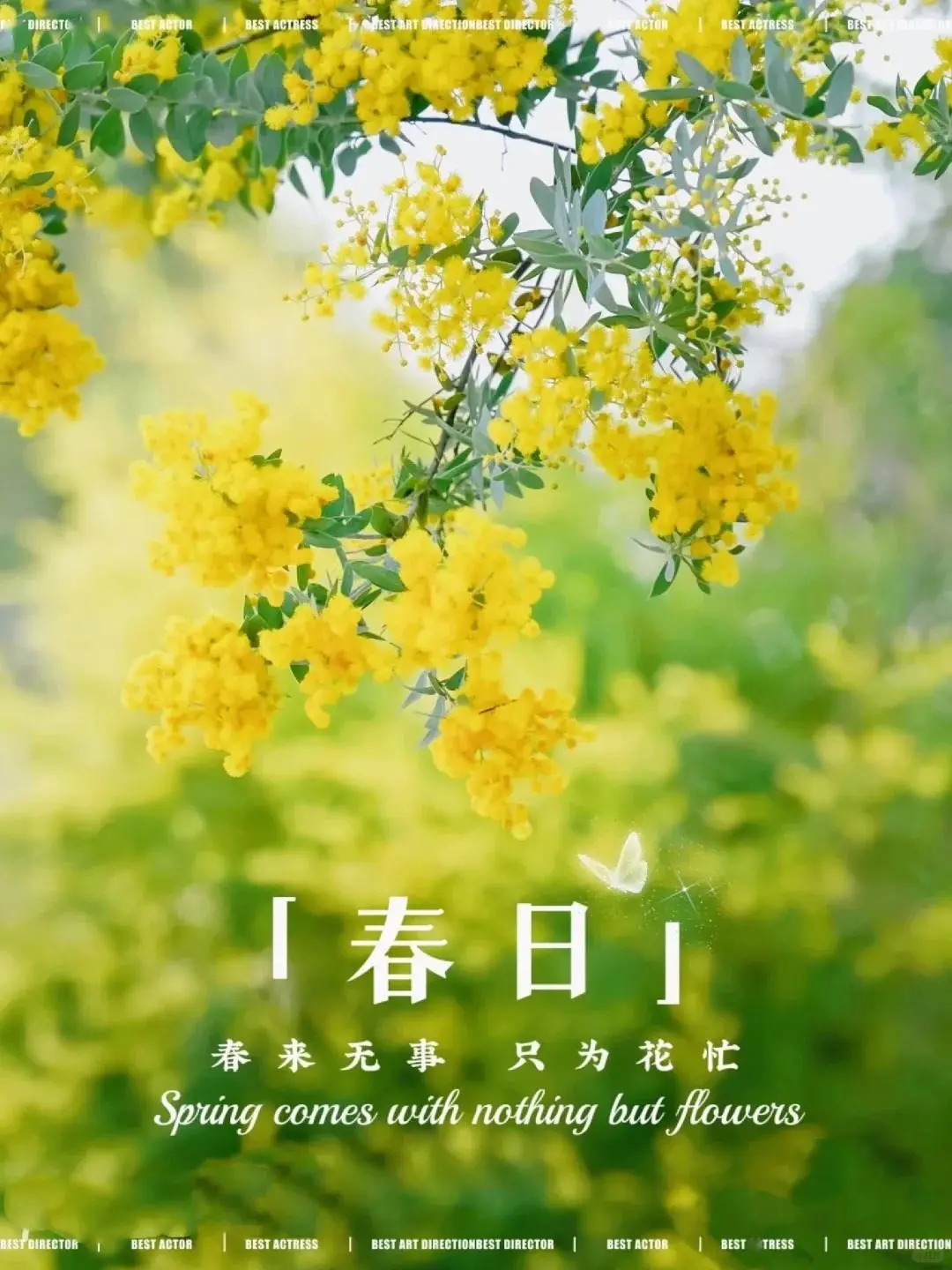 杏的表情_杏的微信表情_双叶杏表情包