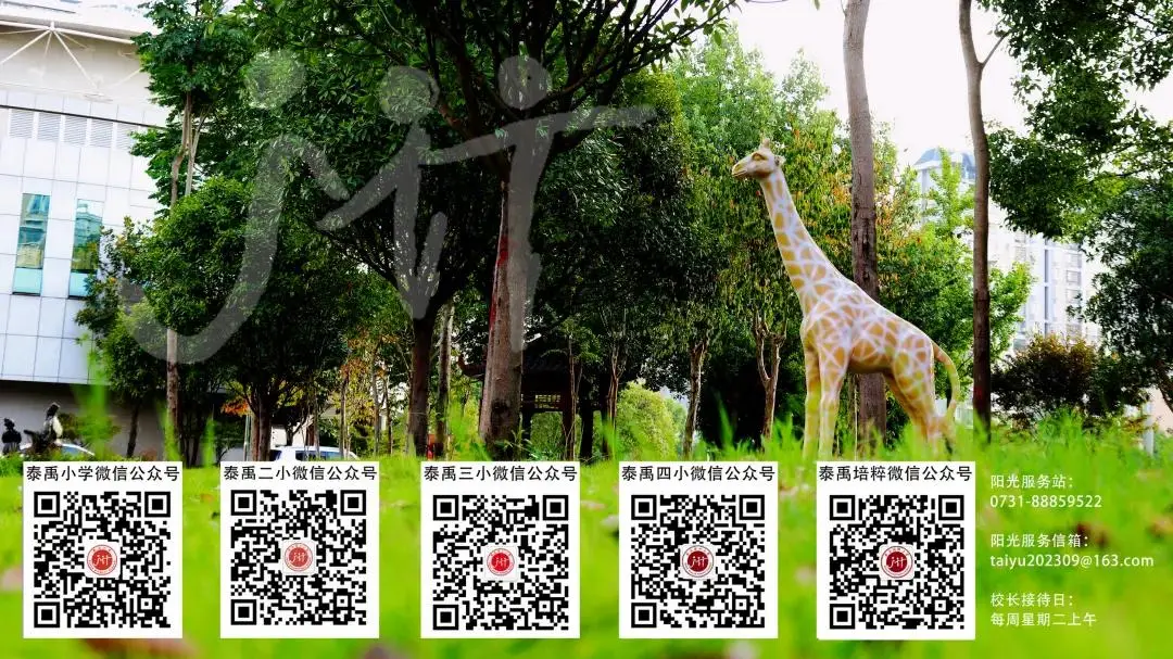 双叶杏表情包_杏的微信表情_杏的表情