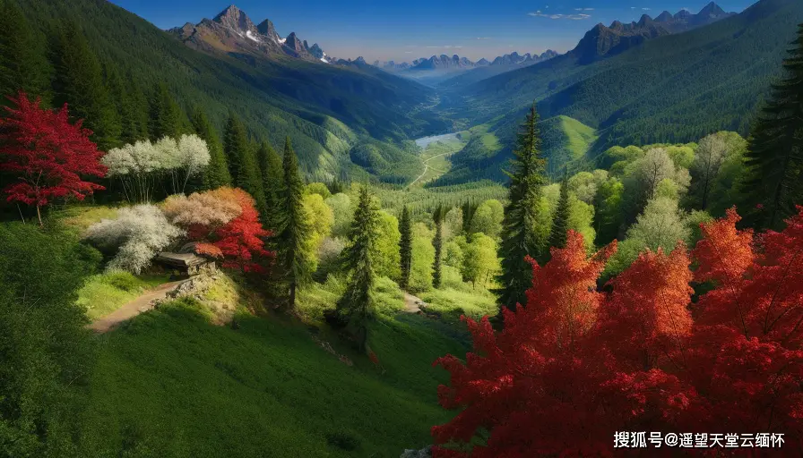 杏的表情_双叶杏表情包_杏的微信表情