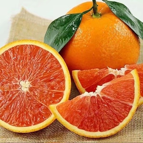 币值是什么意思_什么是币值_币值的意思是什么