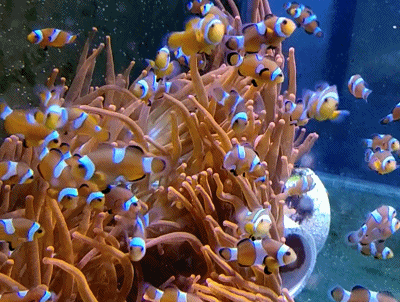 亿方云是免费的吗_亿方云_亿方云下载