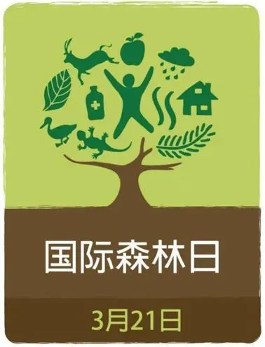 森林国际城_国际森林日_森林国际属于哪个街道