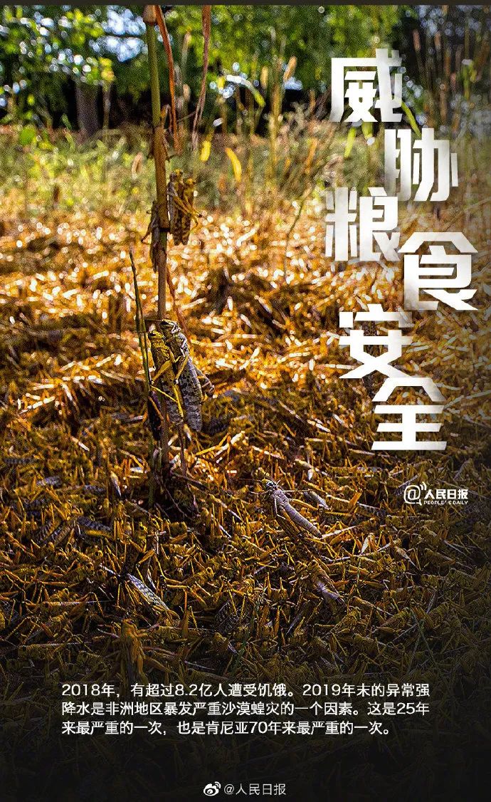 森林国际城_森林国际属于哪个街道_国际森林日