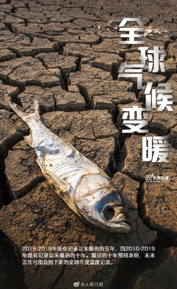 国际森林日_森林国际城_森林国际属于哪个街道