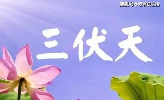 三伏天时间表2021怎么算_2022入伏时间表三伏天时间表_三伏天入伏的时间