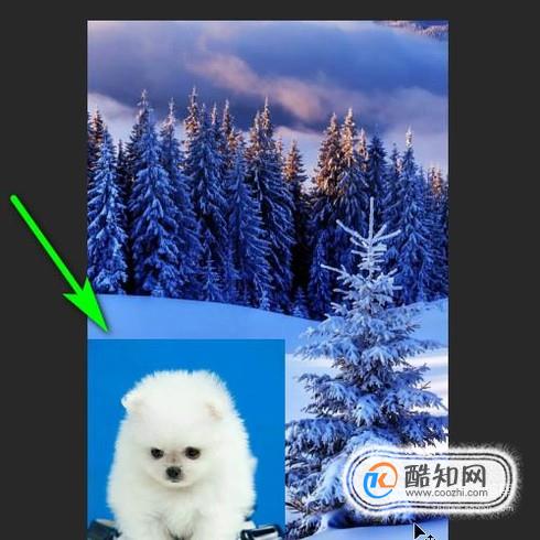 图片叠加到上方怎么弄_怎么把一个图片叠加到另一个图片上_图片叠加到另外一张图上