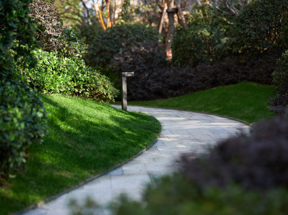 邓布利多的秘密_邓布利多的阴谋与谎言_邓布利多的阴谋