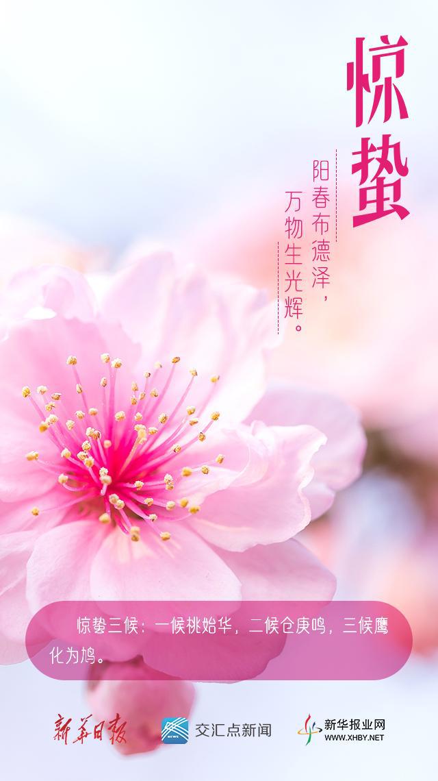 节气惊蛰古诗_节气惊蛰_节气惊蛰什么意思