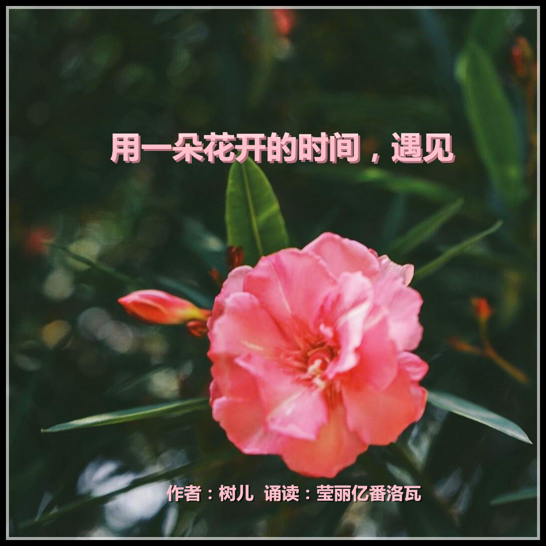 即使如此依旧步步接近_依旧相近的词是什么_我曾经那么接近幸福
