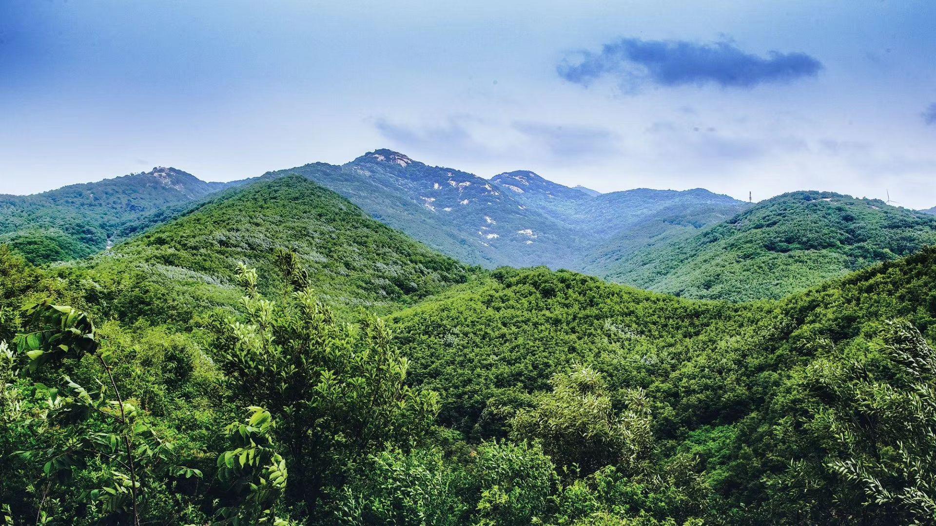 东北小众_东北休闲吧_休闲东北农村猎人小说
