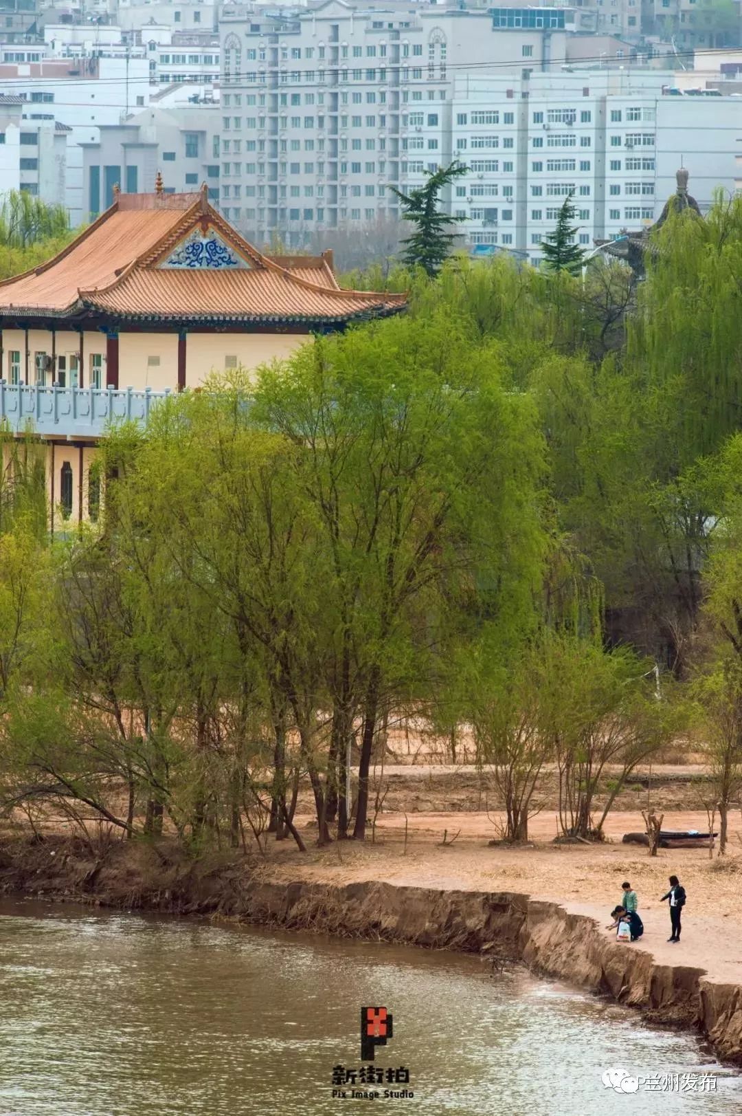 东北休闲吧_东北小众_休闲东北农村猎人小说